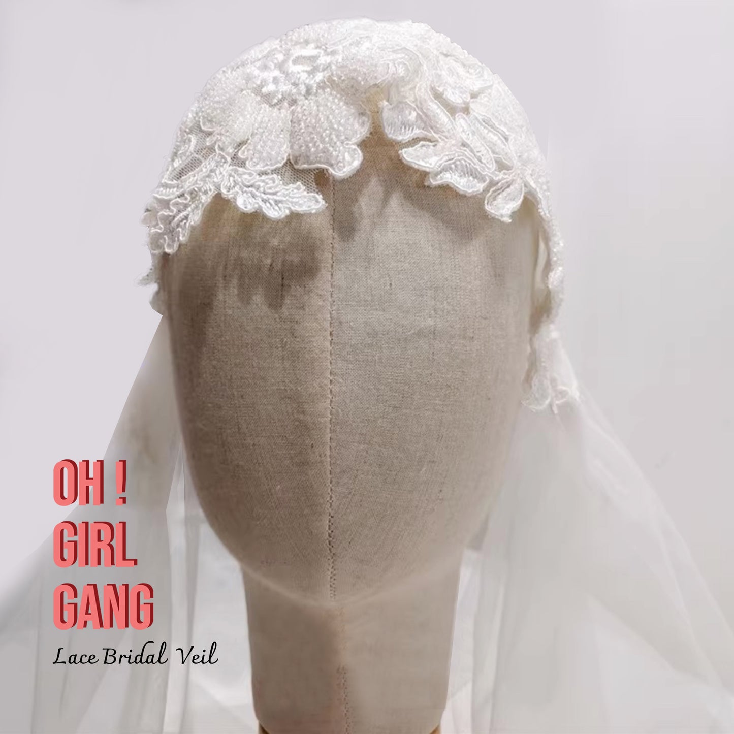Elegant Lace Bridal Veil with Hair Clips