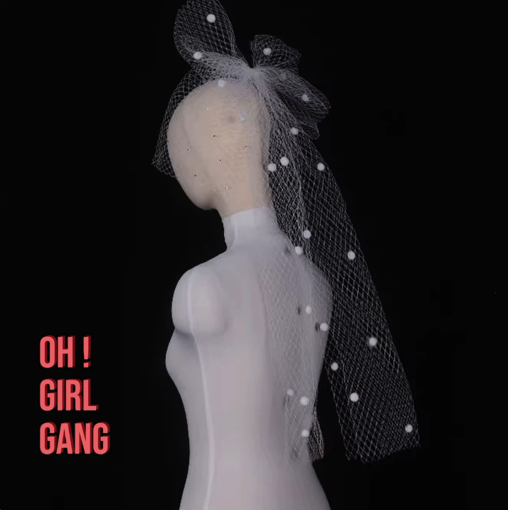 White Mesh Big Bow Birdcage Veil