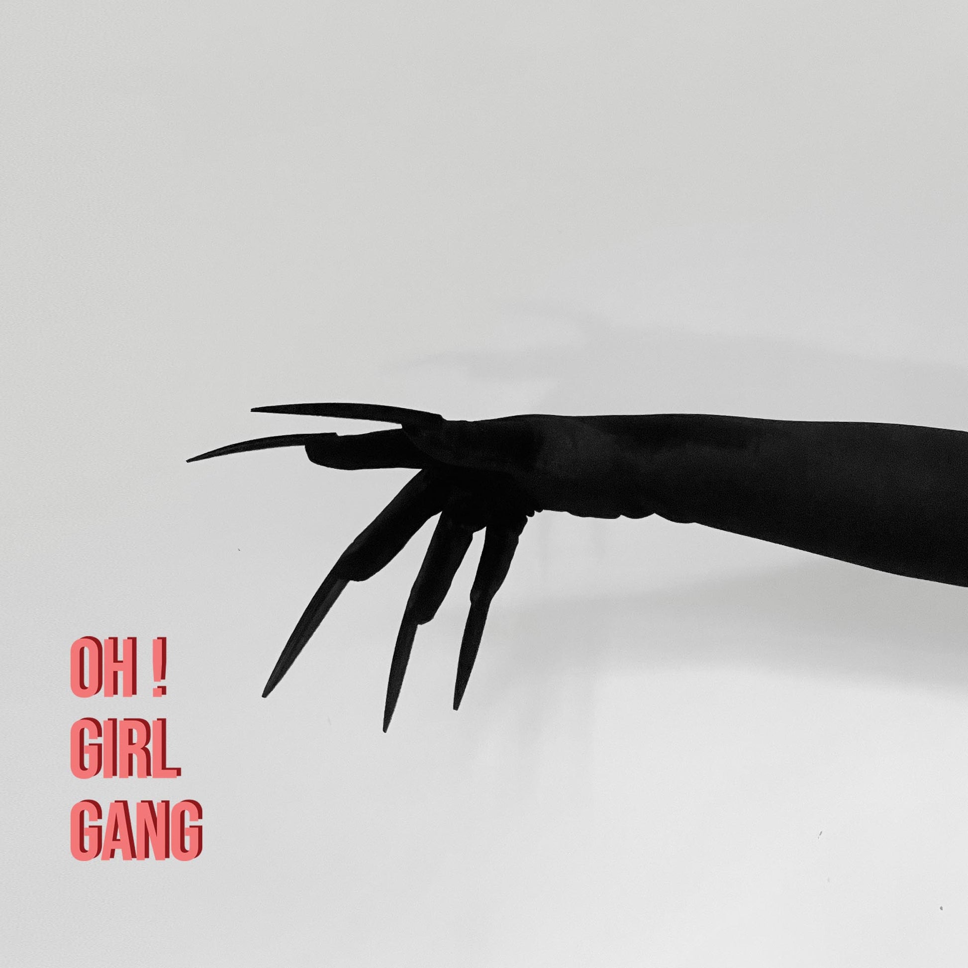 Black Velvet Opera Gloves with Long Velvet Nails